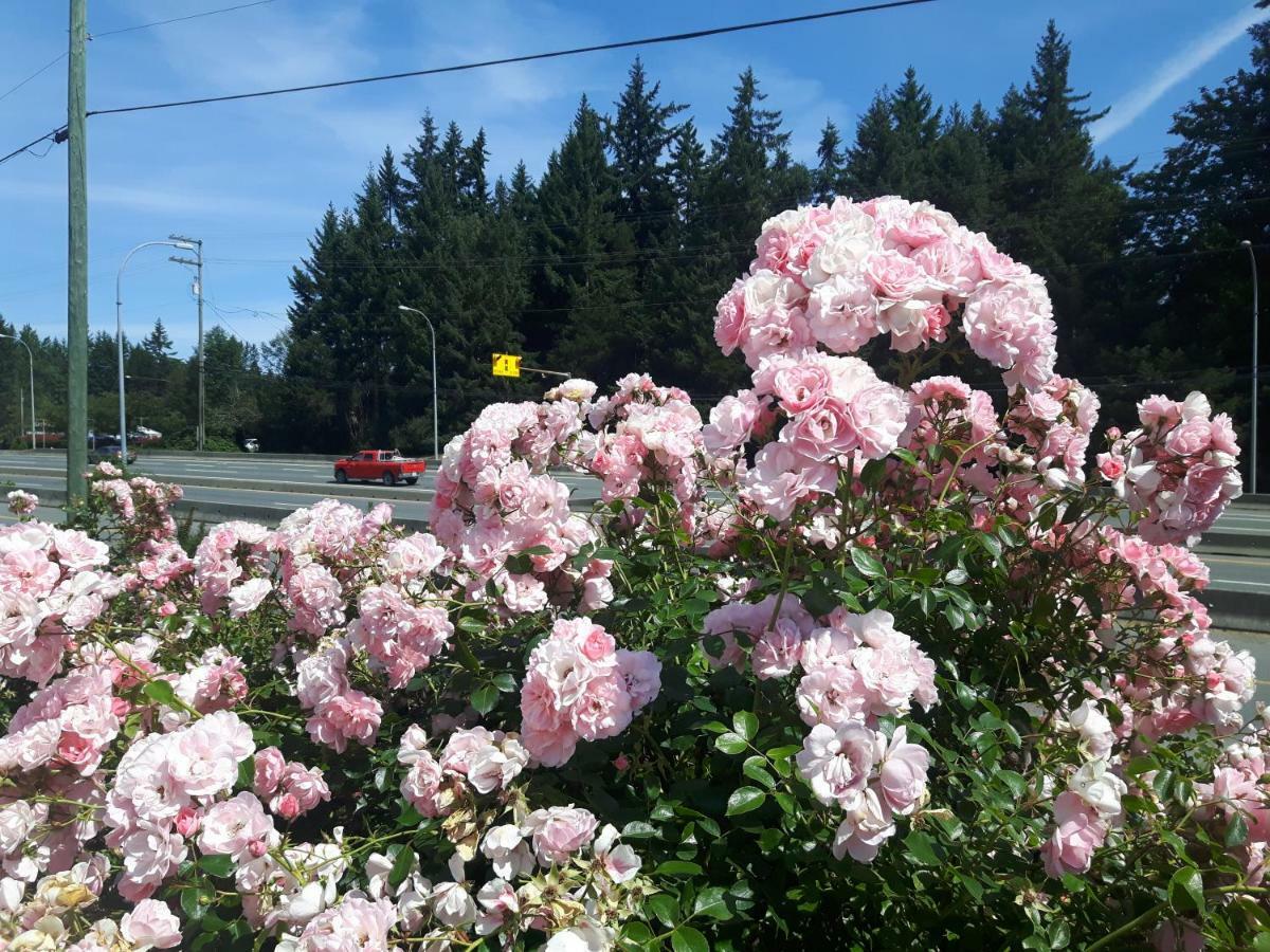 Fuller Lake Chemainus Motel ภายนอก รูปภาพ
