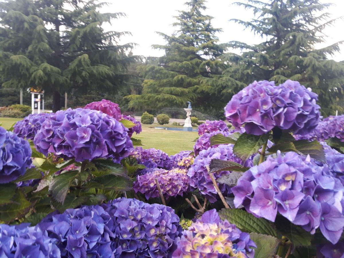 Fuller Lake Chemainus Motel ภายนอก รูปภาพ